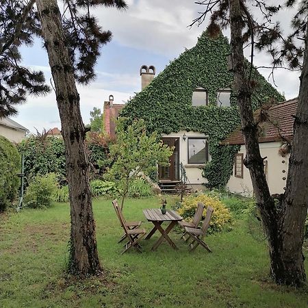 Gartenapartment Storchenblick Weiden am See Eksteriør billede