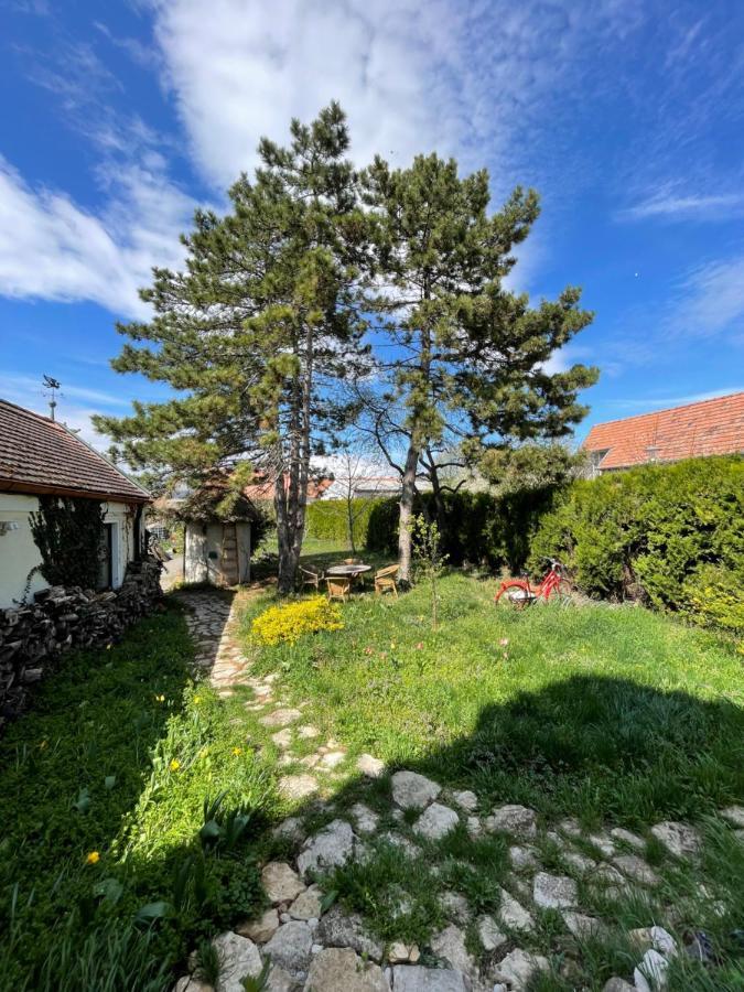 Gartenapartment Storchenblick Weiden am See Eksteriør billede